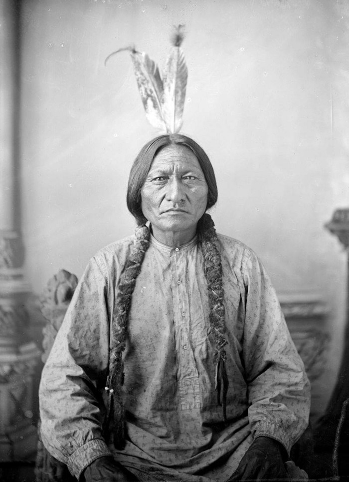 Attached Image: Two_Wolves_Sitting_Bull .jpeg