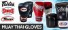 The Evolution of Muay Thai Boxing Gloves: From Tradition to Innovation